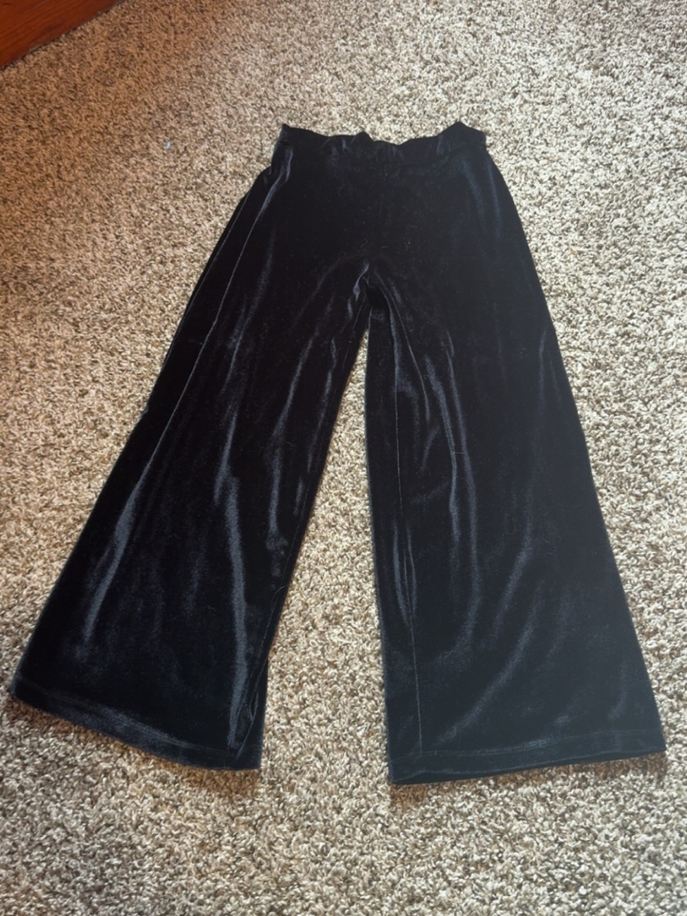 7 Rachel Zoe black mesh pants